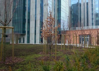Karolkowa Business Park Office, Warszawa, Wola, Karolkowa