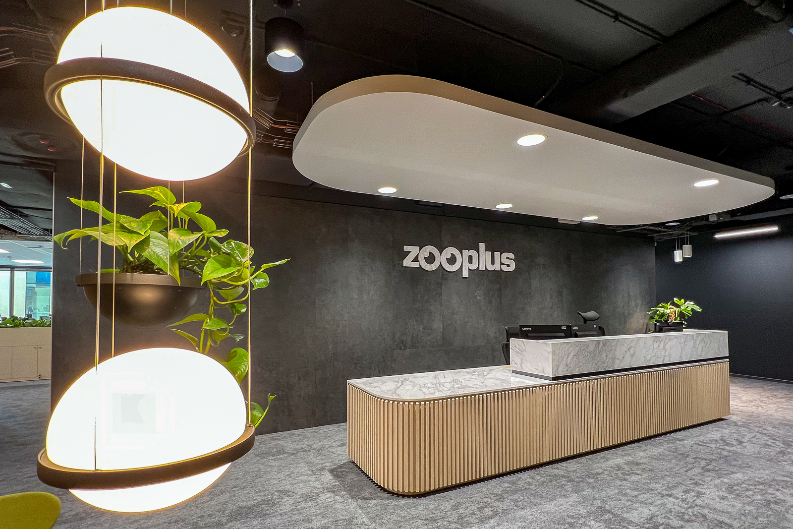 <h1>Case study zooplus Polska</h1>